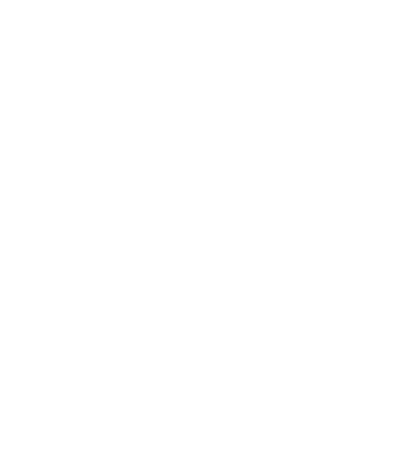 Deutsche Telekom IT Solutions